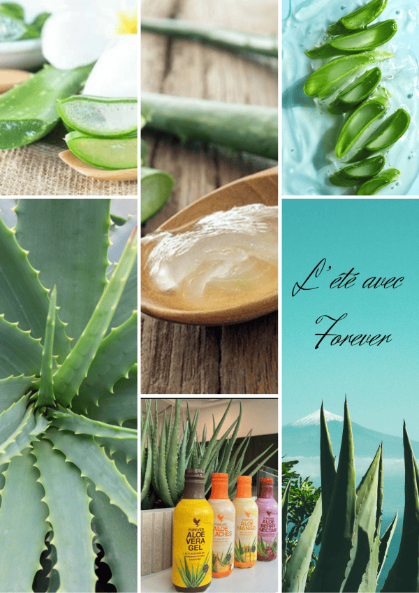 Passez un bel été avec les produits Forever